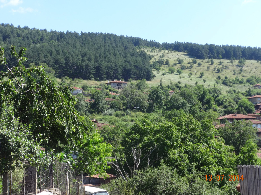 Zarkovata Kashta主图