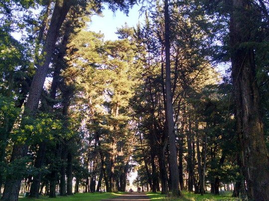 Lautaro旅游景点-Parque Isabel Riquelme