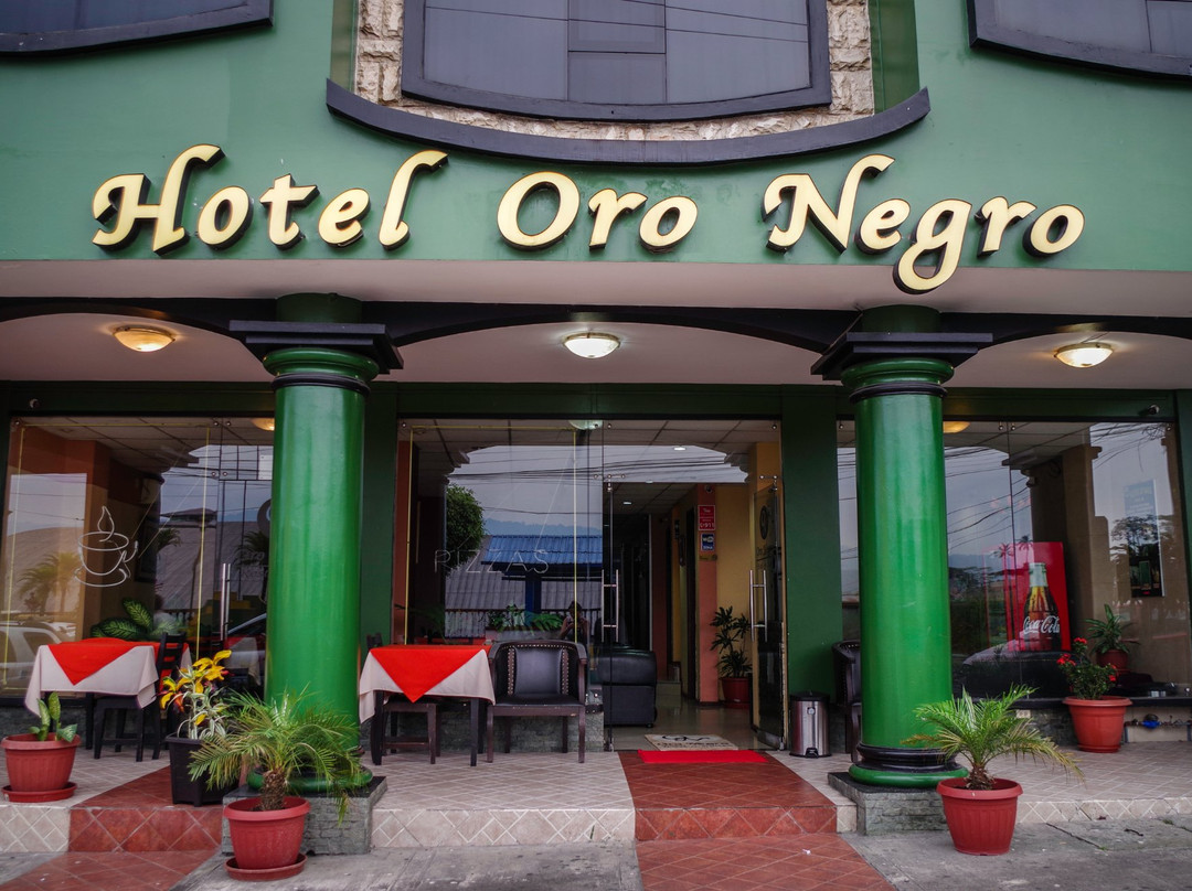 Hotel Oro Negro主图