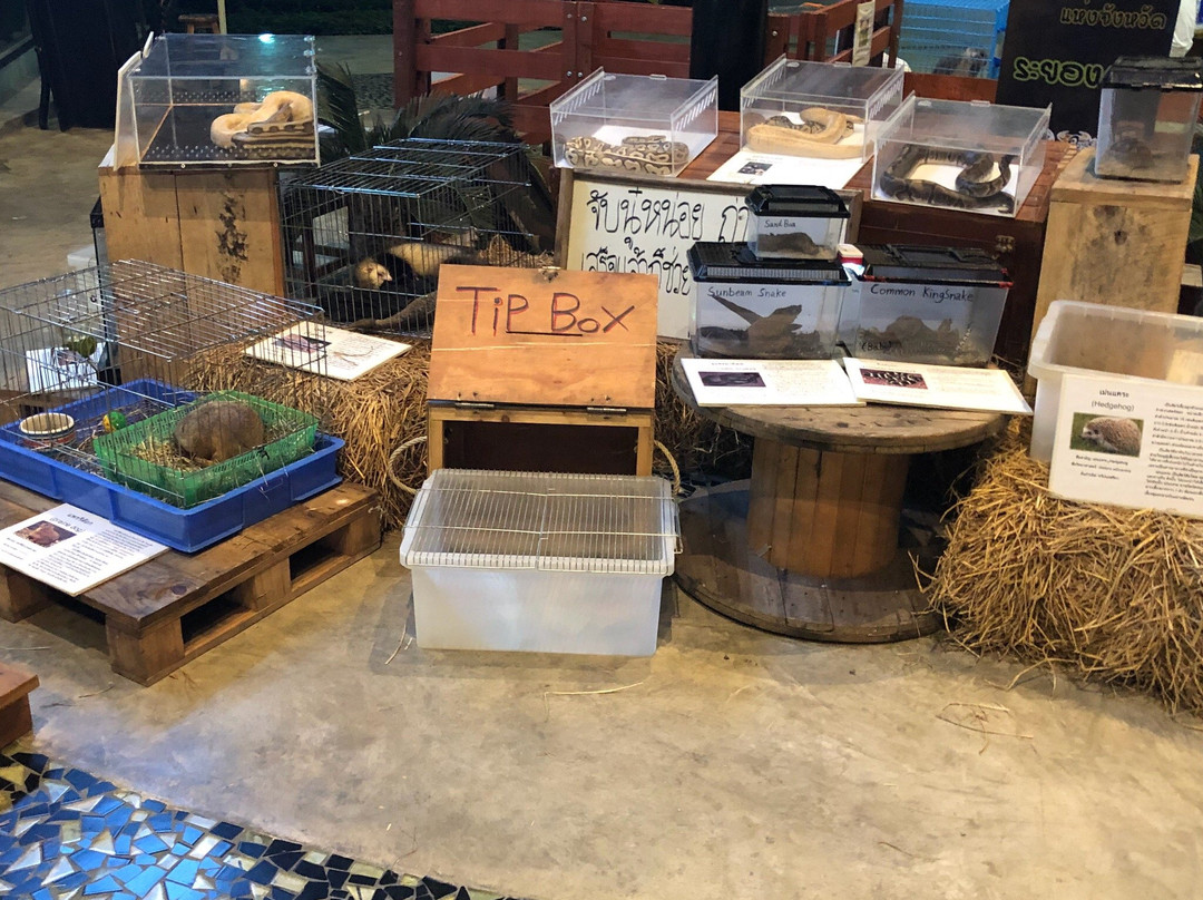 The Ozone Lifestyle Mall-罗勇必去景点