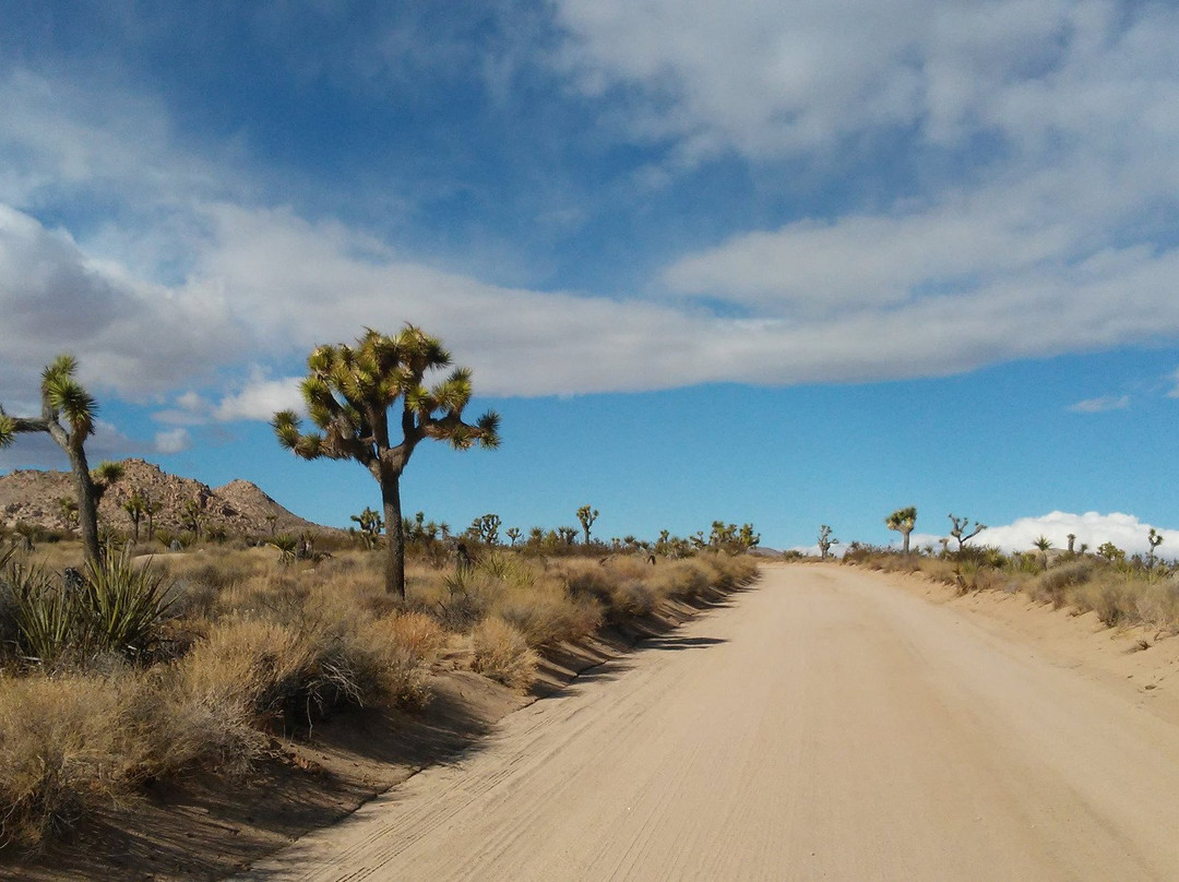 Geology Tour Road-约书亚树国家公园必去景点
