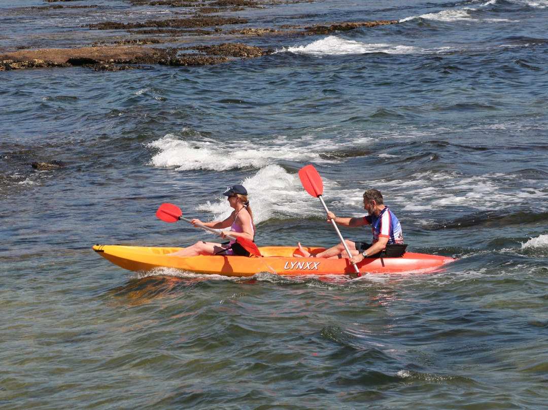 Nowra Kayak Hire景点图片