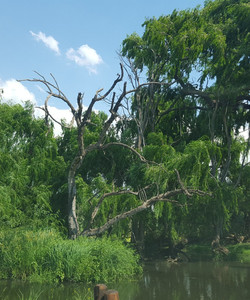 Rietvlei Nature Reserve景点门票图片
