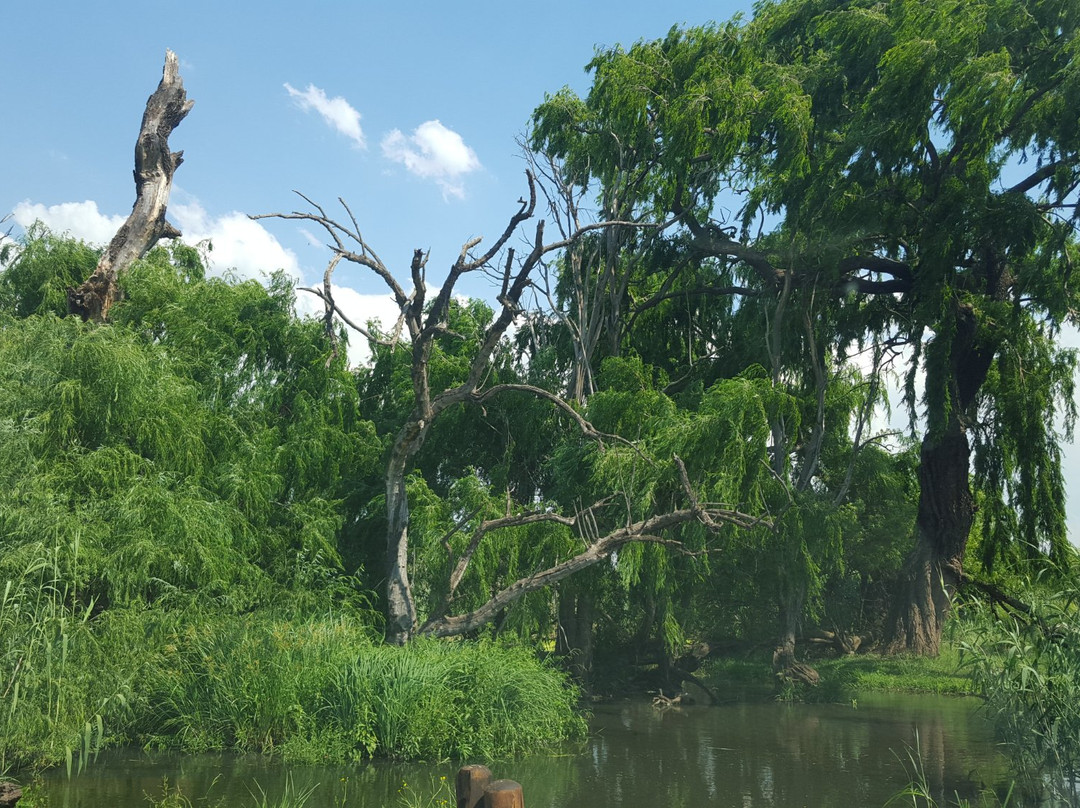 Olifantsfontein旅游景点-Rietvlei Nature Reserve