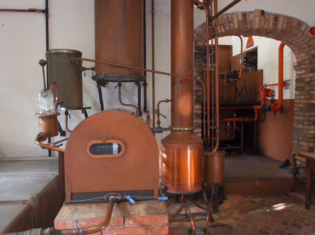 Distilleria Pagura景点图片