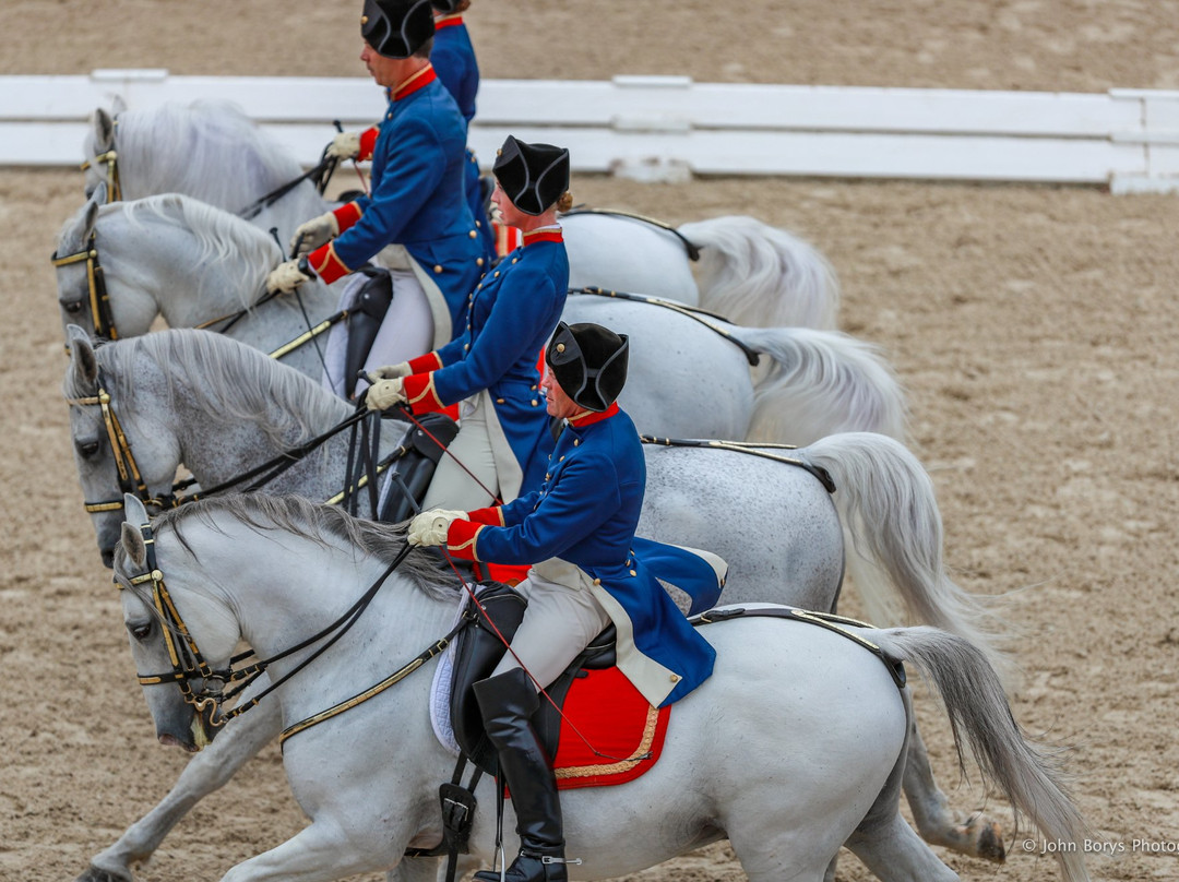 The Tempel Lipizzans-Old Mill Creek必去景点