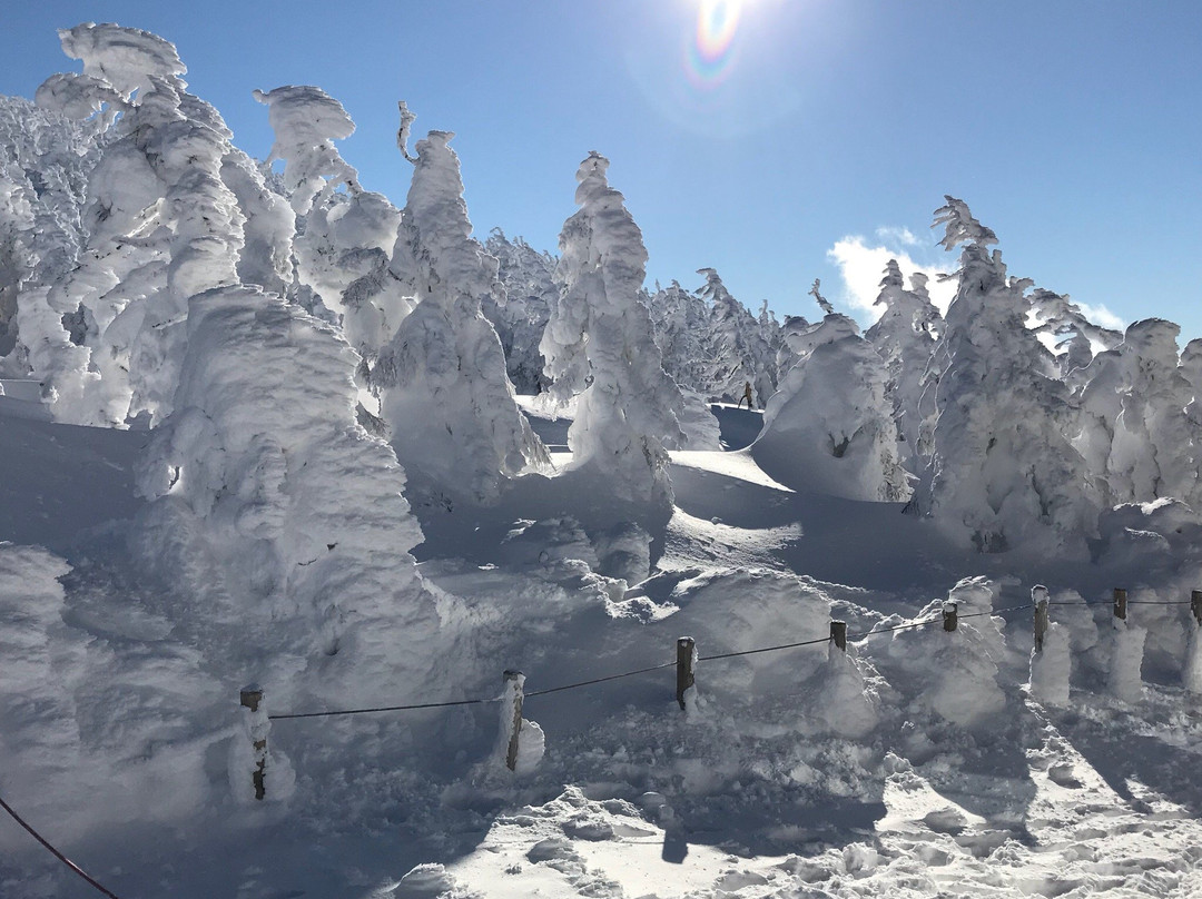 Sumikawa Snow Park景点图片