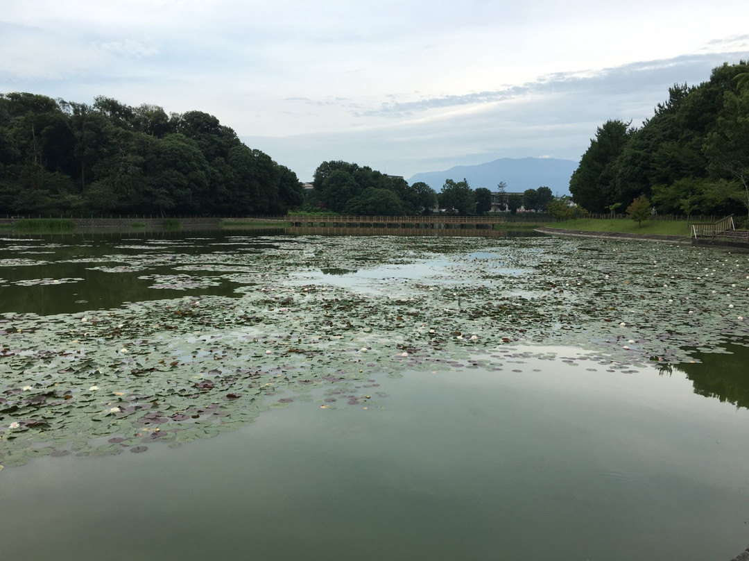 Fukada Pond景点图片