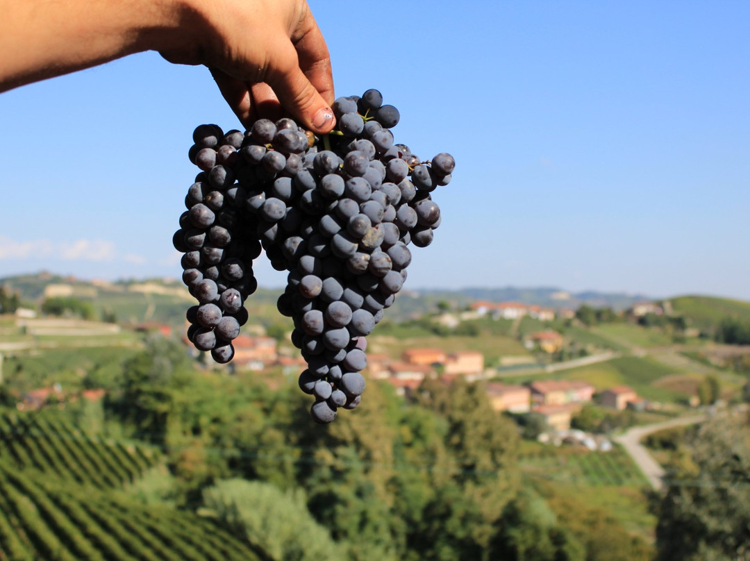 Cascina Ciapat景点图片