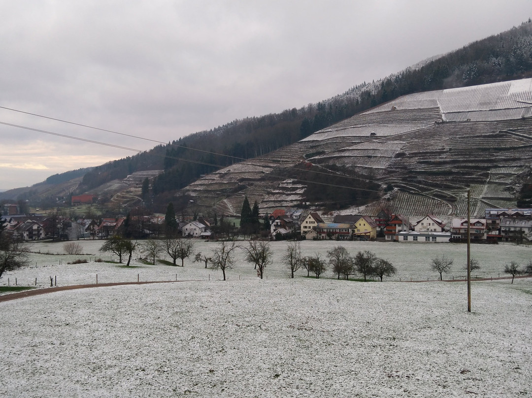 Minotel Tobererhof主图