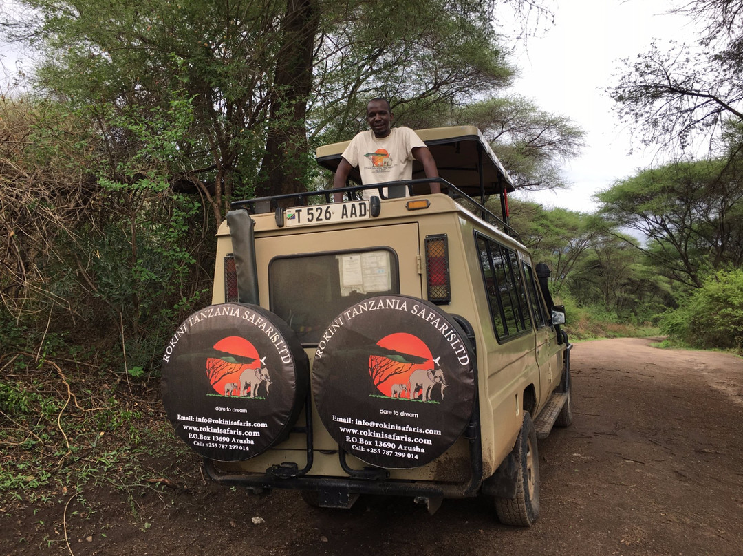 ​Rokini Tanzania Safaris-阿鲁沙必去景点