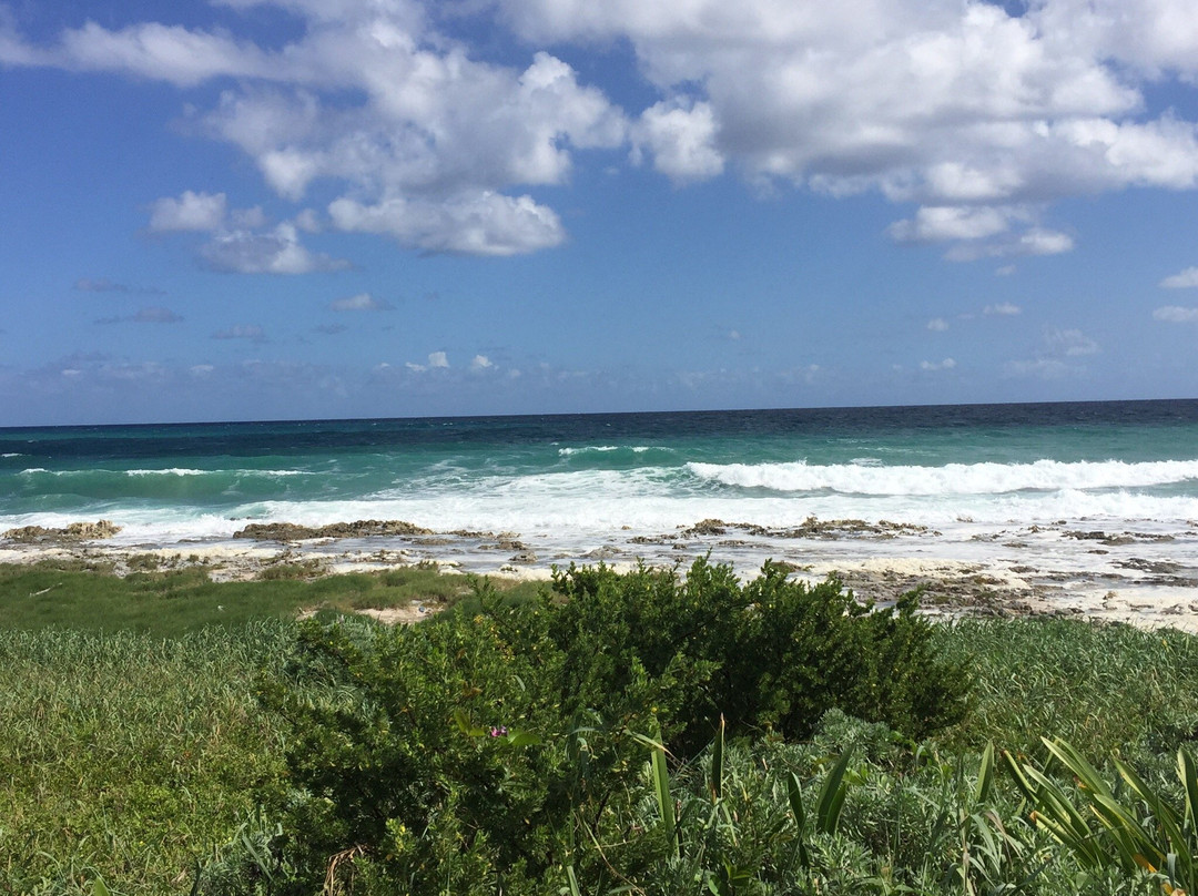 Sian Kaan Visitors Center主图