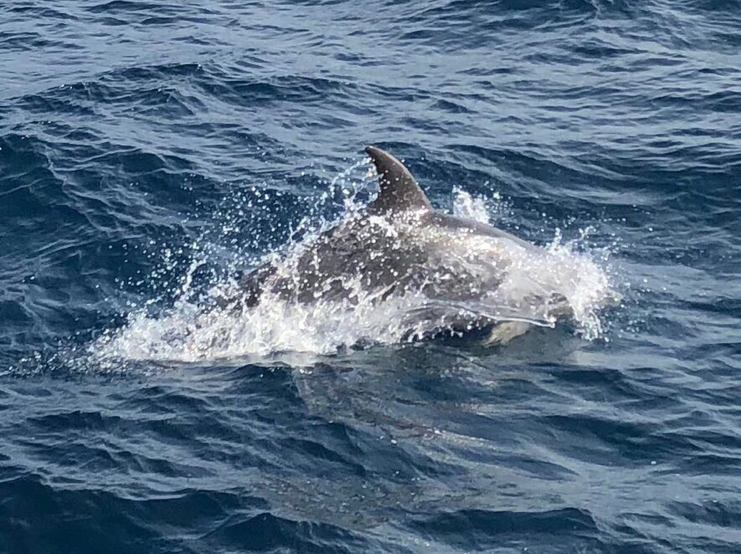 Dive Saint Helena-Jamestown必去景点