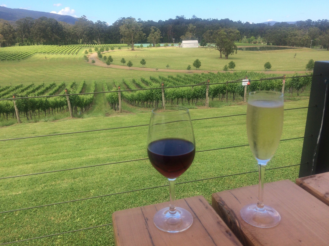 Boat O'Craigo Winery-墨尔本必去景点