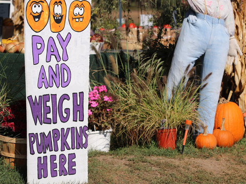 Fick Farms-Lapeer必去景点