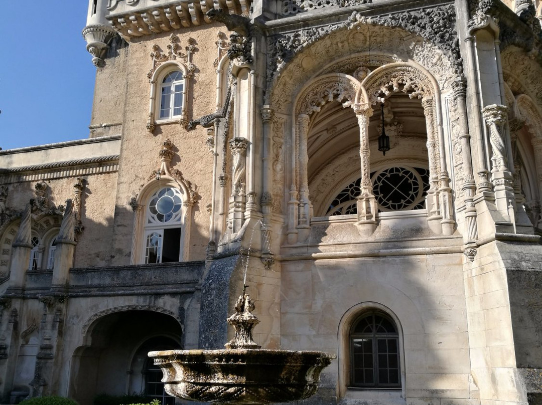 Outer Tours-阿威罗必去景点