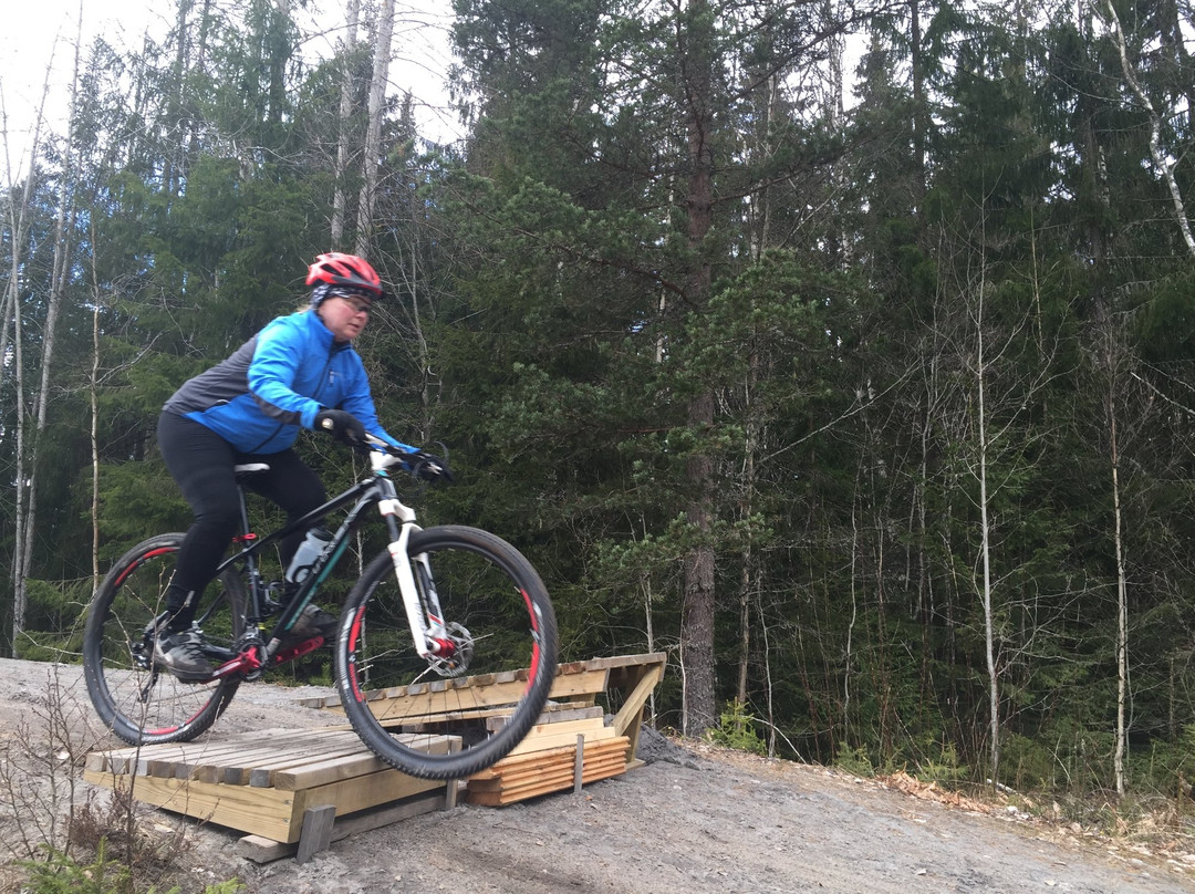 BikeinBergslagen-Nora必去景点