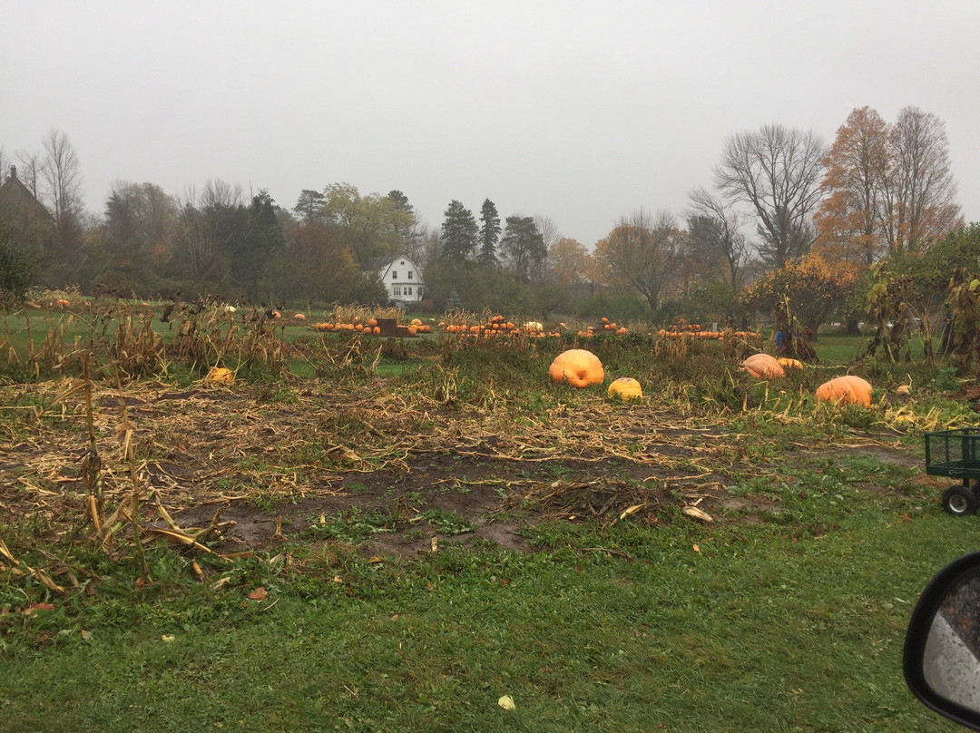 Dill's Atlantic Giant Pumpkin Farm-Windsor必去景点
