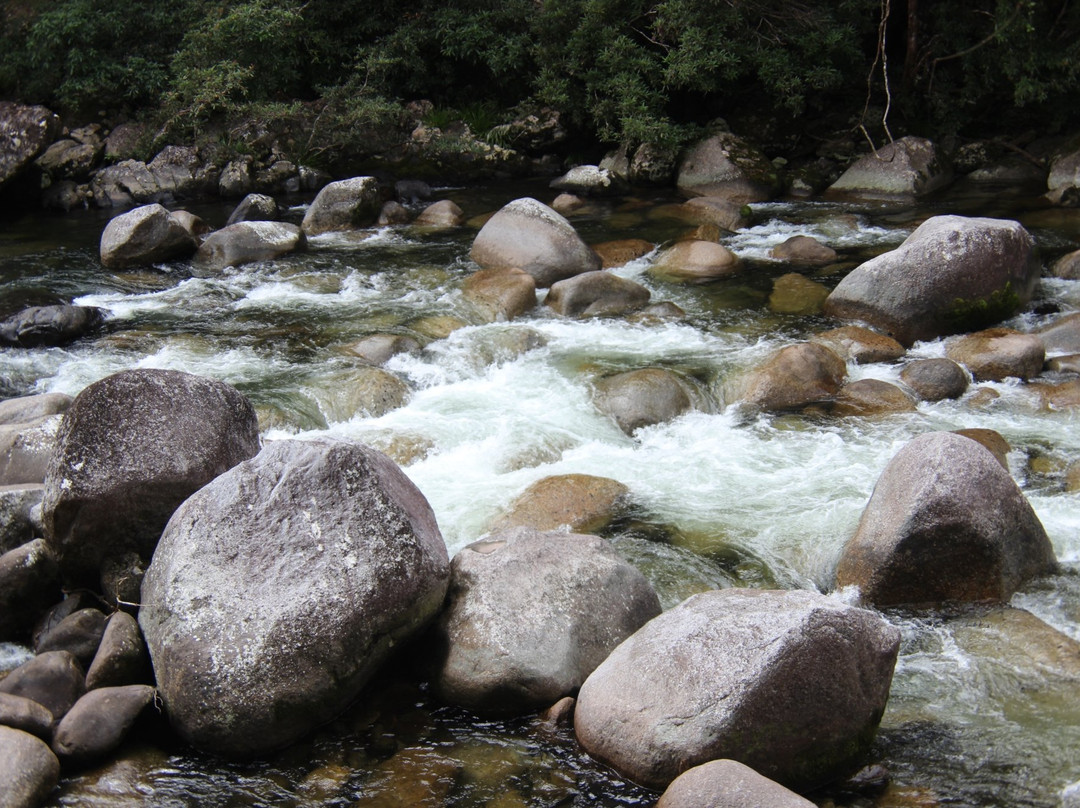 Daintree Mangroves Wildlife Sanctuary-Mossman必去景点