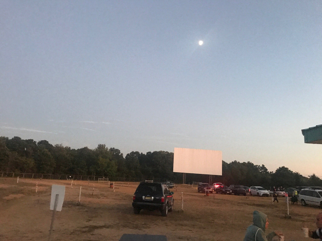 Delsea Drive-In Theatre景点图片