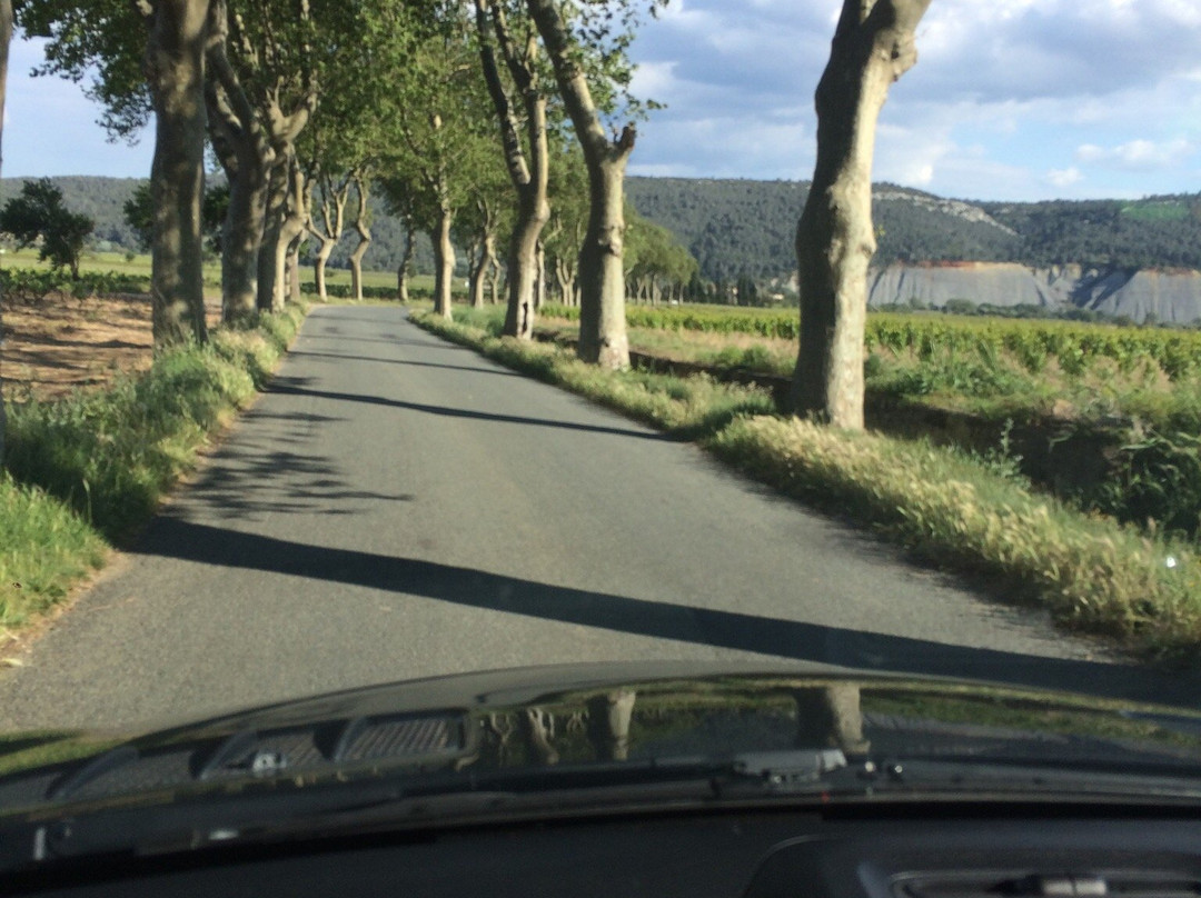 Les Vignerons de Camplong景点图片