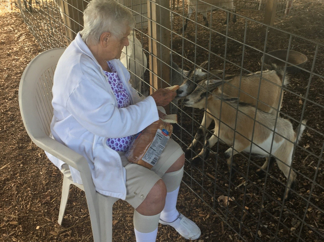 Warbington Farms-卡明必去景点