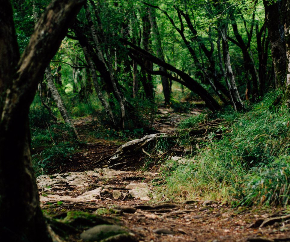 480 Minut-艾德勒必去景点