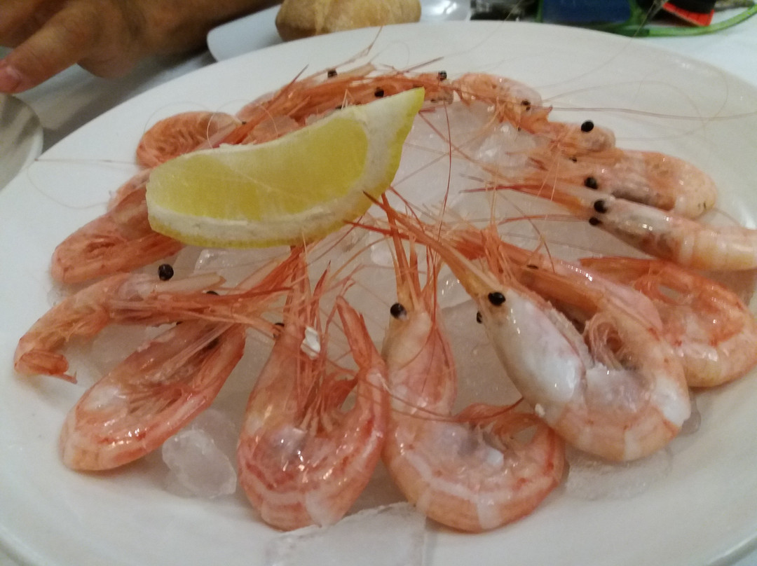 萨洛夫雷尼亚餐馆和美食-Restaurante Verdejo