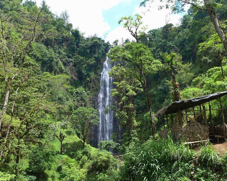 Migration Venture Africa-莫西必去景点