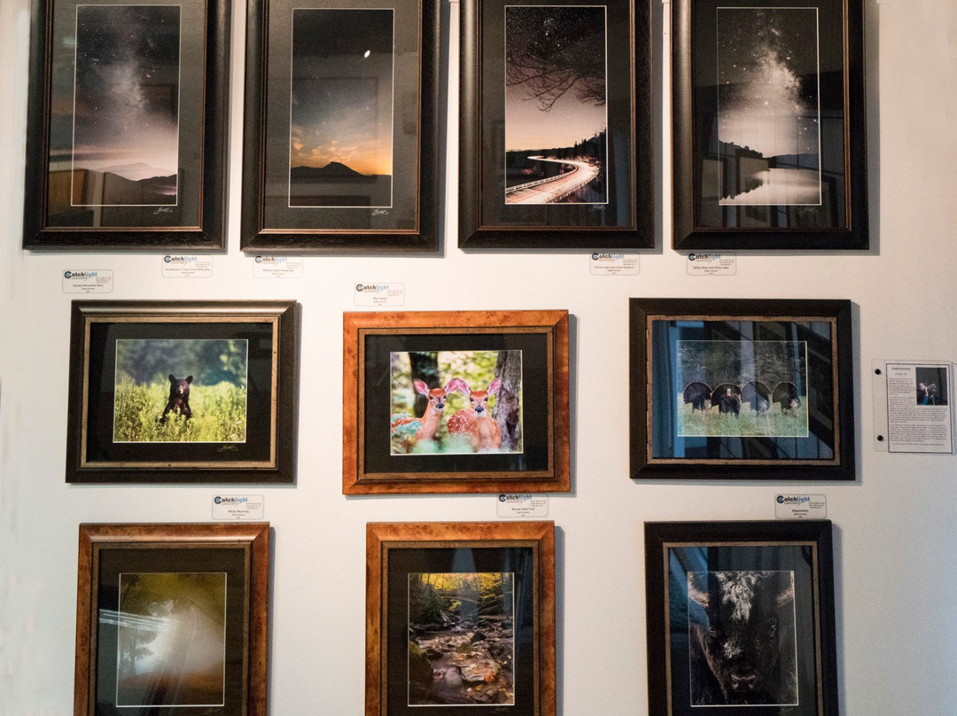 CatchLight Gallery景点图片