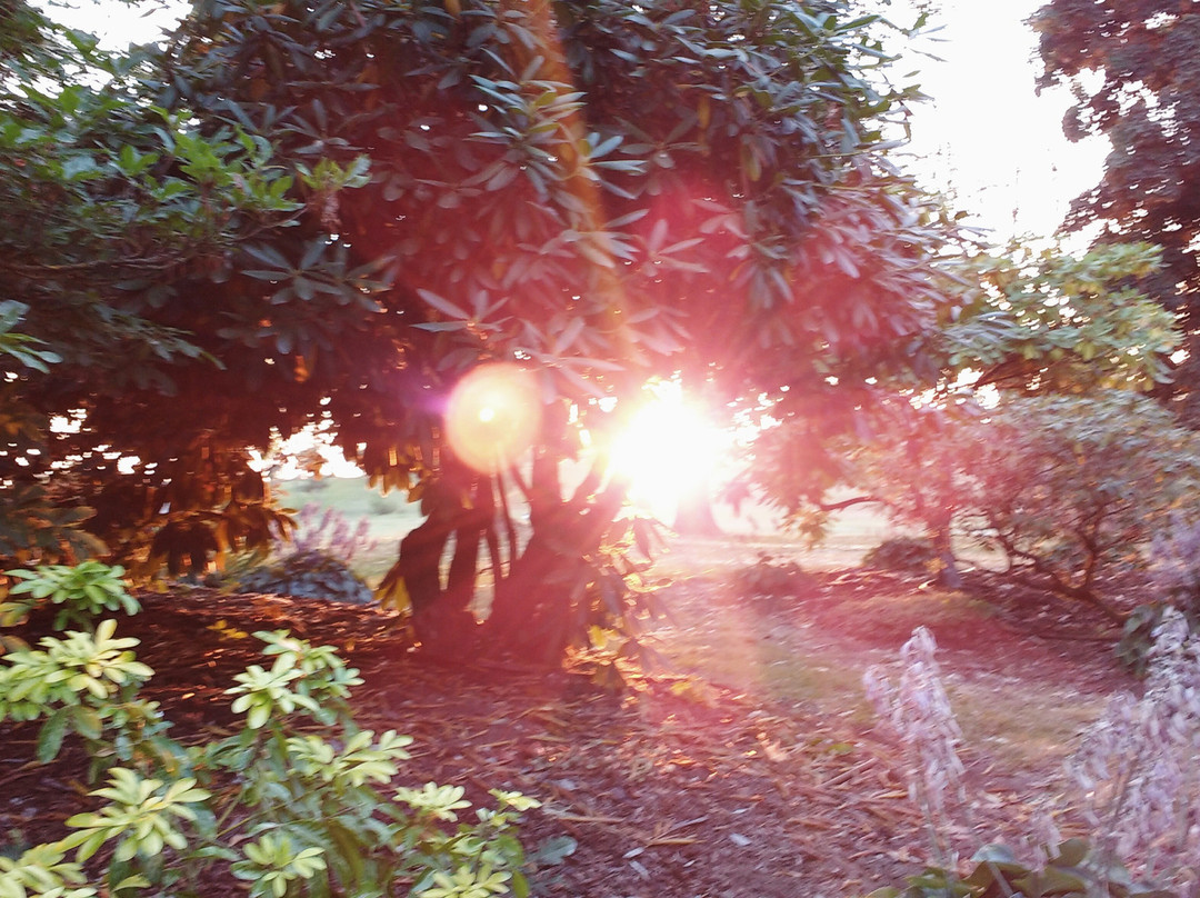 Fraser River Heritage Park-米逊必去景点