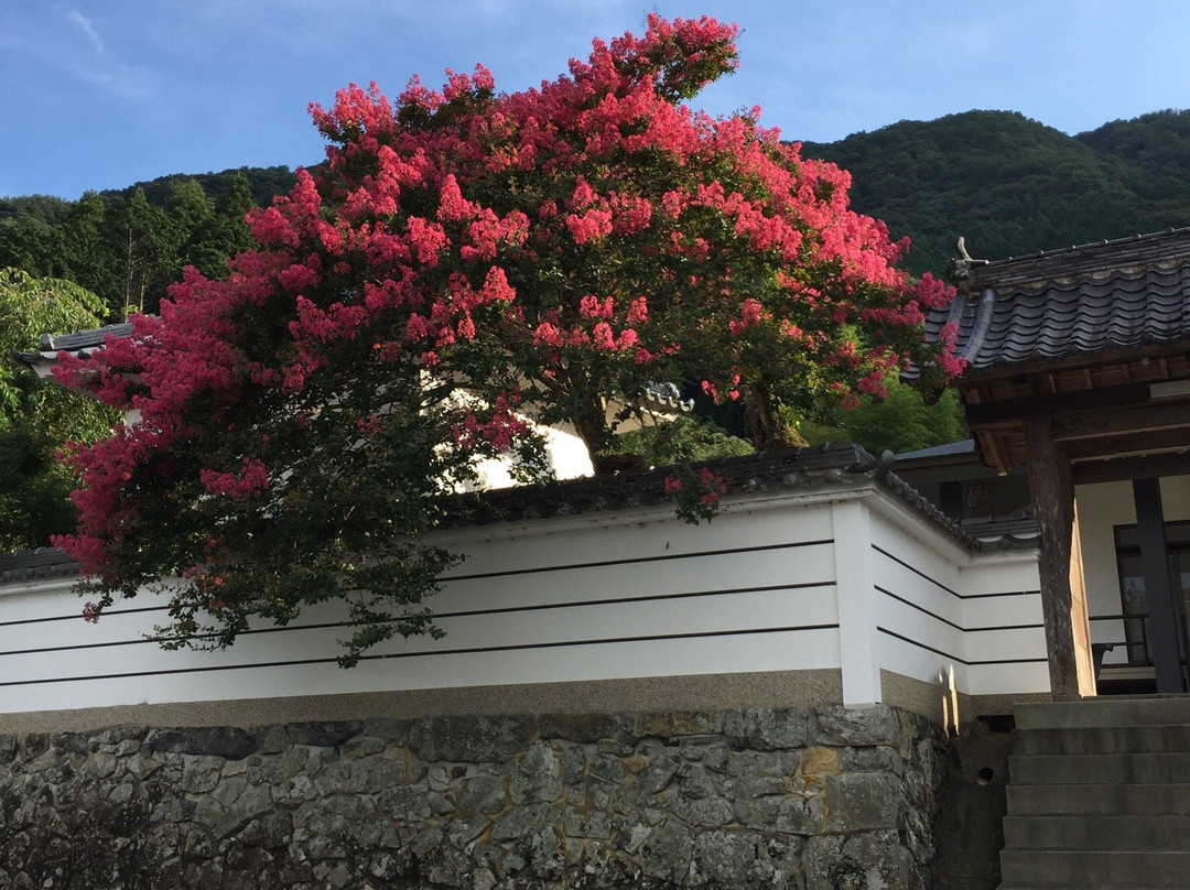 Myosen-ji Temple-龙野市必去景点