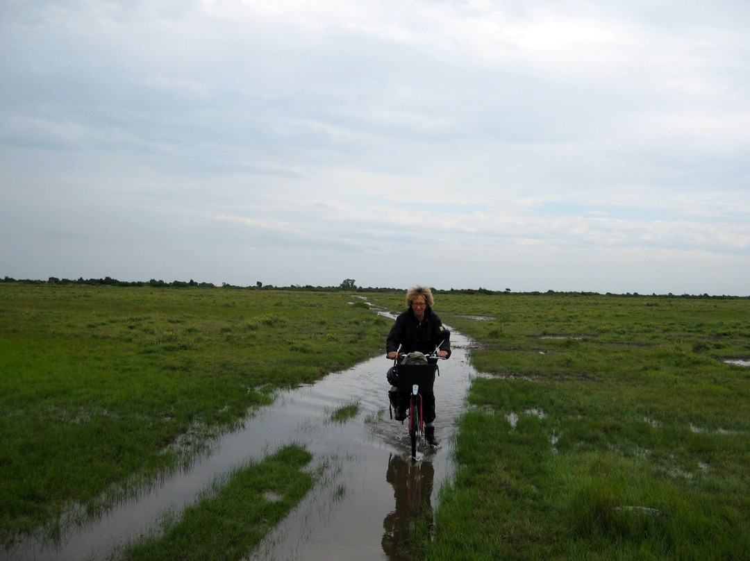 Stora Alvarleden Biking and Hiking Trail-厄兰岛必去景点
