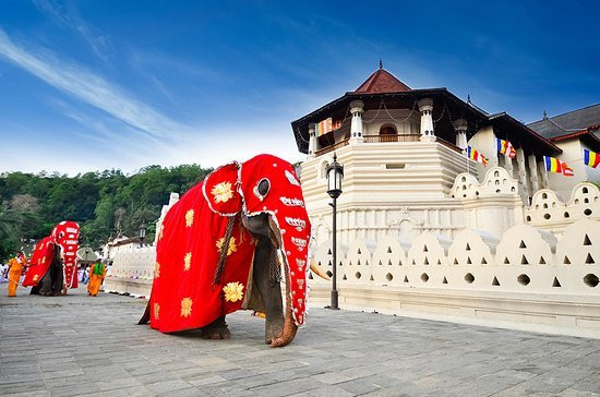Sri Dalada Museum景点图片
