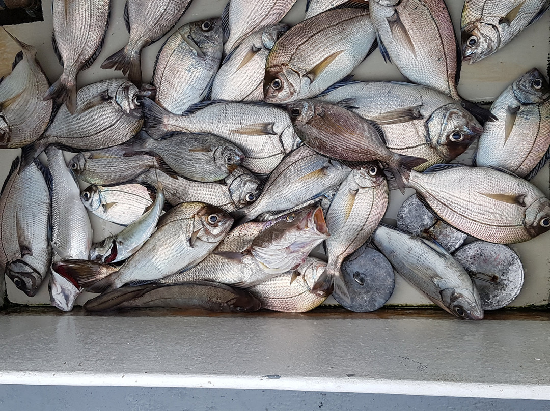Guide de Peche en Mer Sebastien Gas景点图片