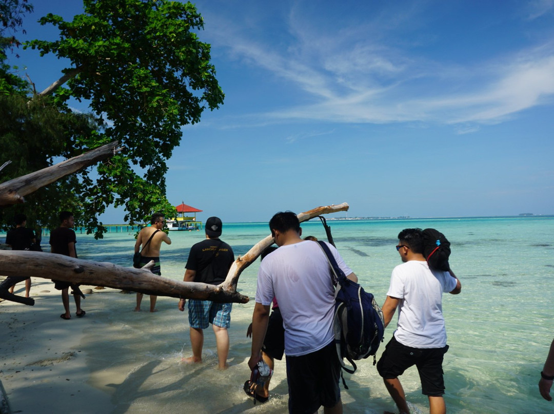 Semak Daun Island景点图片