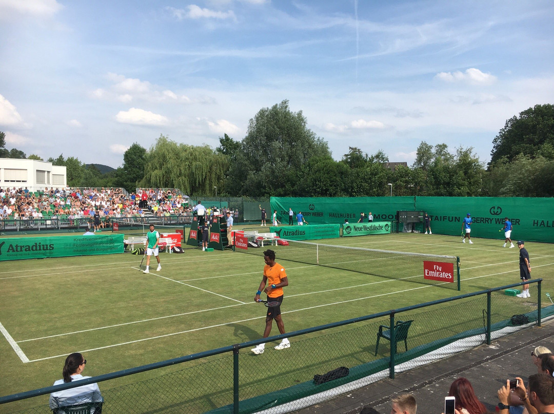 Halle Westfalen旅游攻略图片