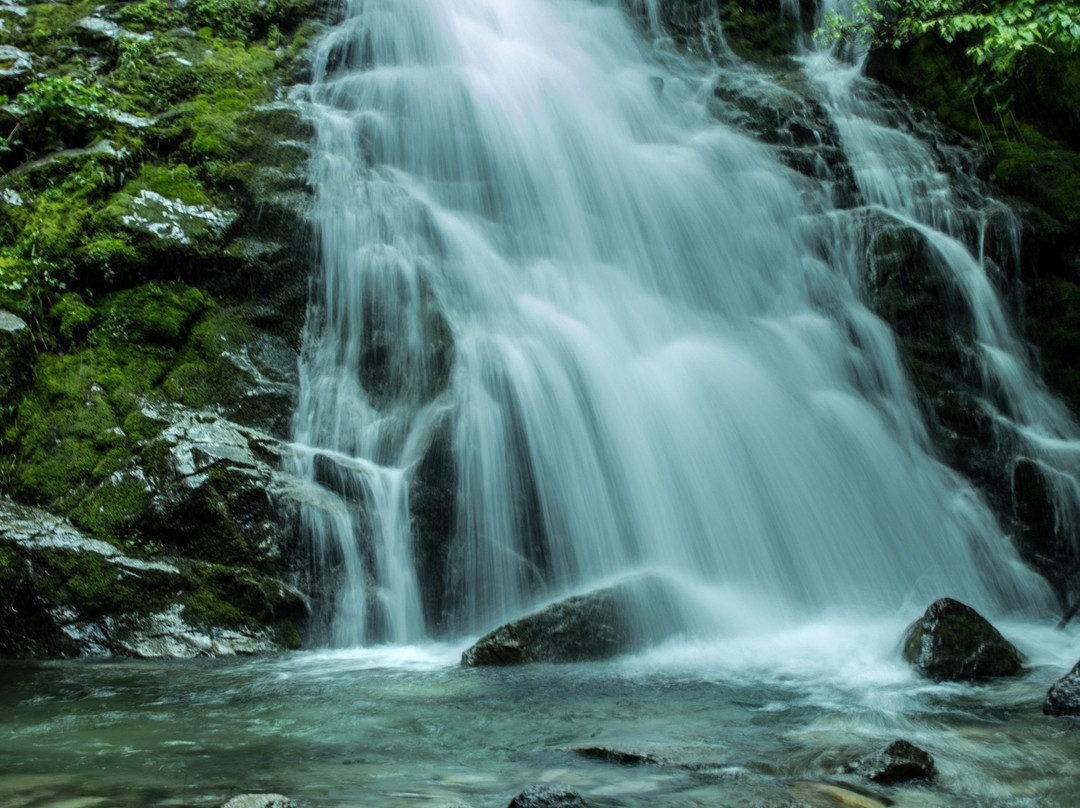 Whiskeytown National Recreation Area-Whiskeytown必去景点
