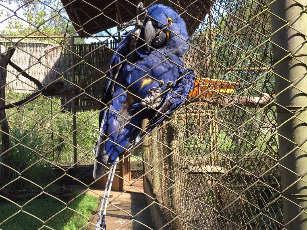 Parque Ecológico Eugênio Walter景点图片