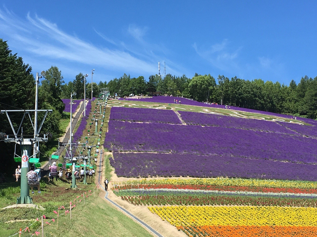 富良野町营薰衣草园-中富良野町必去景点