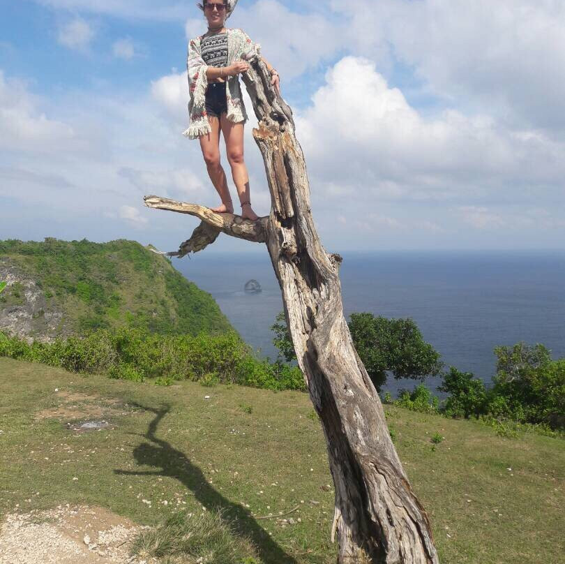 Tpoint Trip-珀尼达岛必去景点