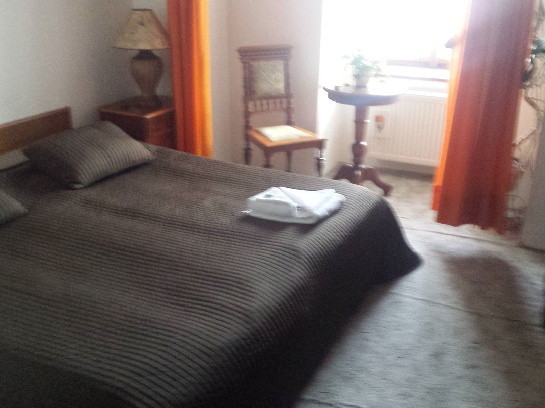 Hotel Zlaty kohout主图