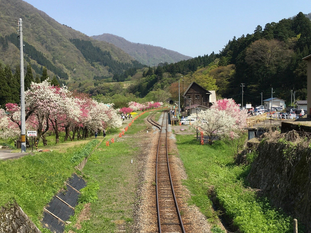 Minshuku Hayashiminato