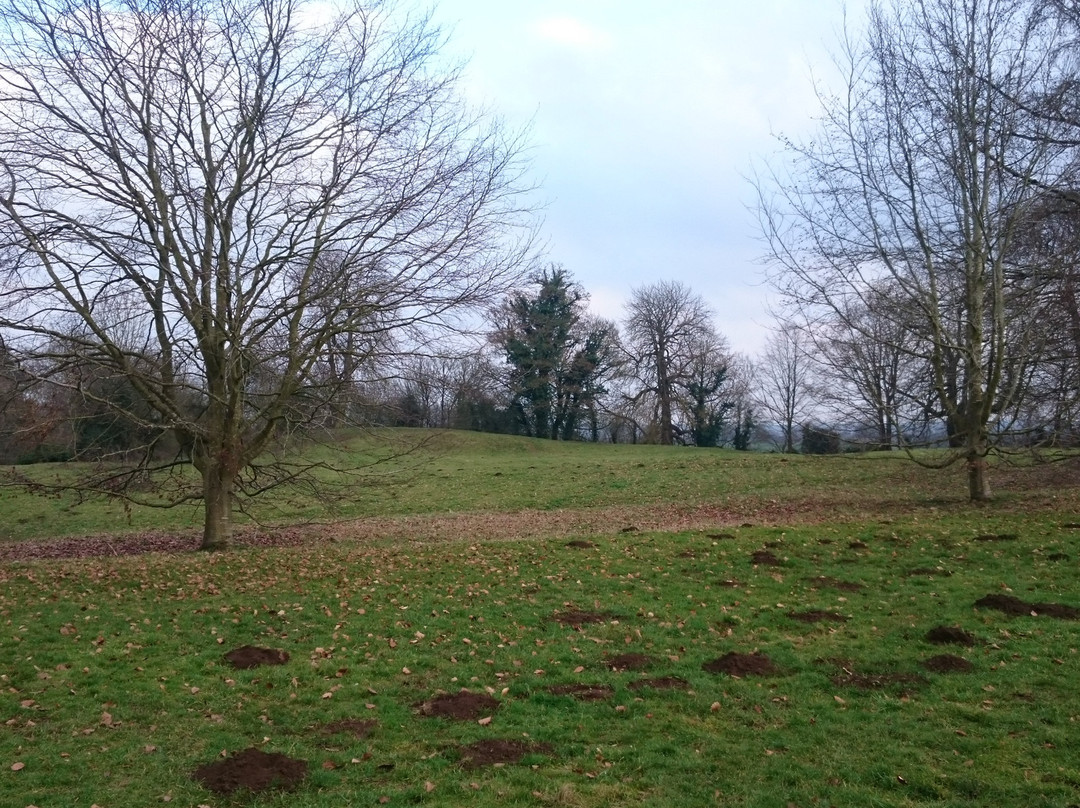 Deddington Castle-Deddington必去景点