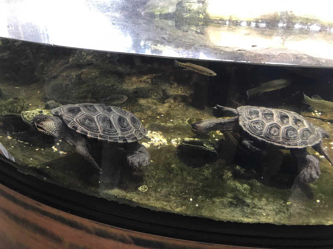 South Fork Natural History Museum-Bridgehampton必去景点