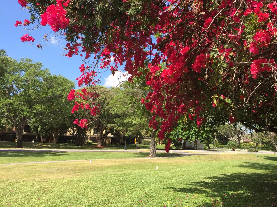 Costa Del Sol Golf Club-迈阿密必去景点