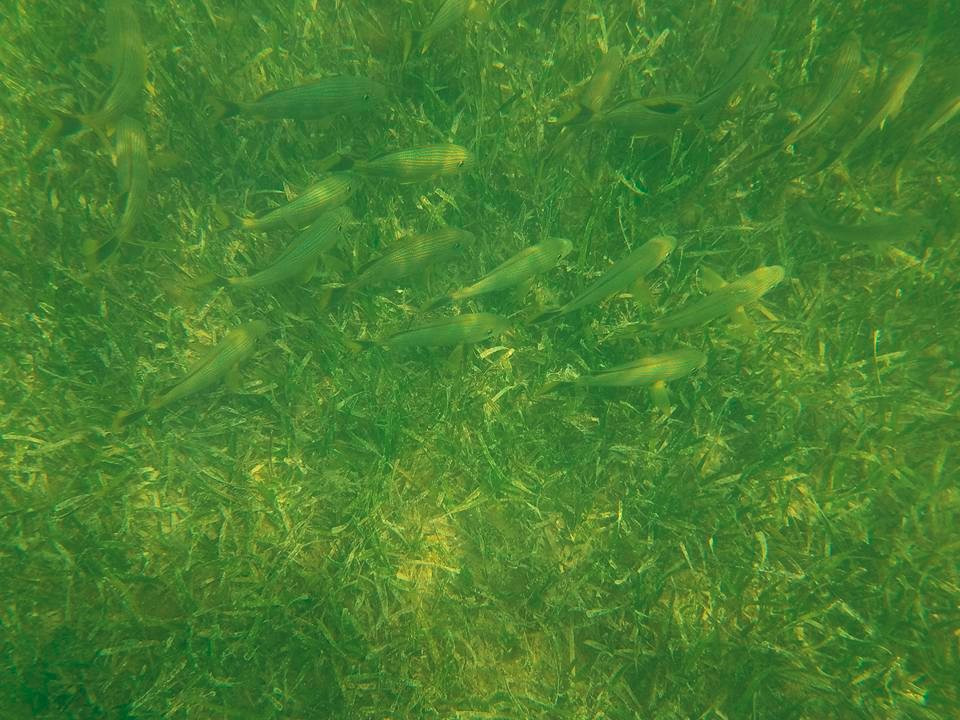 Surf You To The Moon-伊斯拉摩拉达必去景点