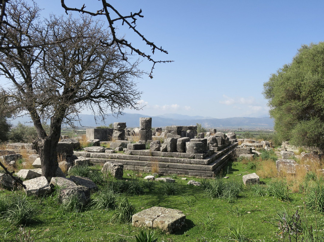 Temple of Zeus in Stratos景点图片