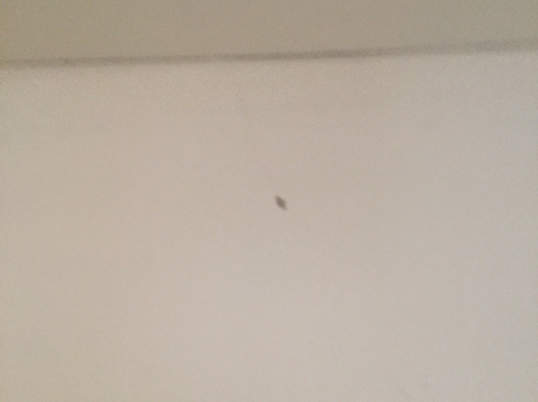 Lazy H Ranch Motel主图