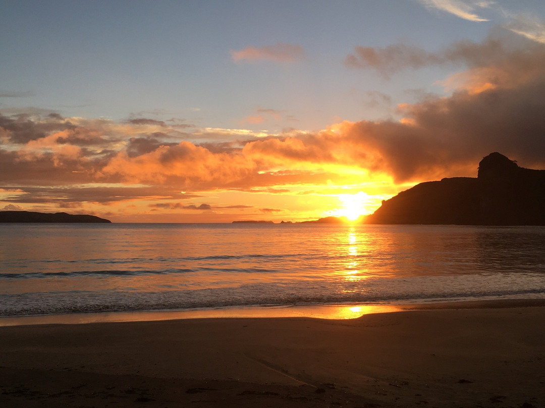 Taupo Bay Beach景点图片